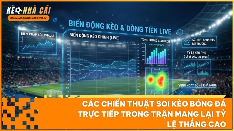 Kỹ thuật bắt kèo rung và nhận diện nhịp độ trận đấu đòi hỏi sự quan sát nhạy bén theo từng phút bóng lăn
