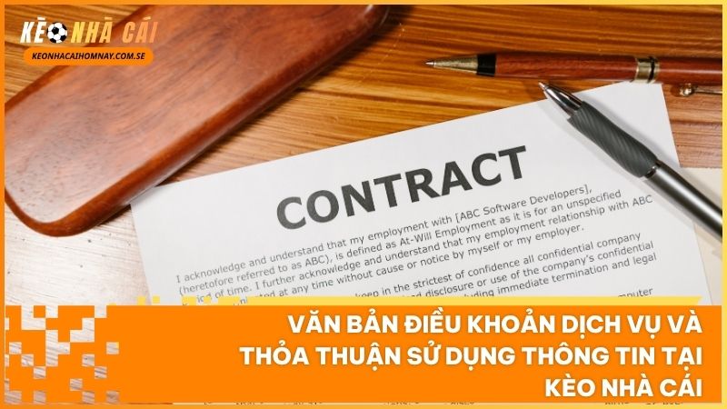 Bản điều khoản dịch vụ xác định rõ ràng quyền hạn và nghĩa vụ của người dùng khi tra cứu bảng kèo